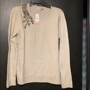 Ann Taylor Loft Sweater